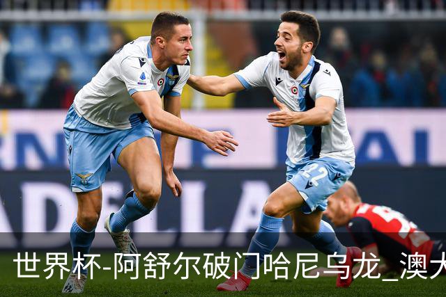 世界杯-阿舒尔破门哈尼乌龙 澳大利亚1-1埃及进加时