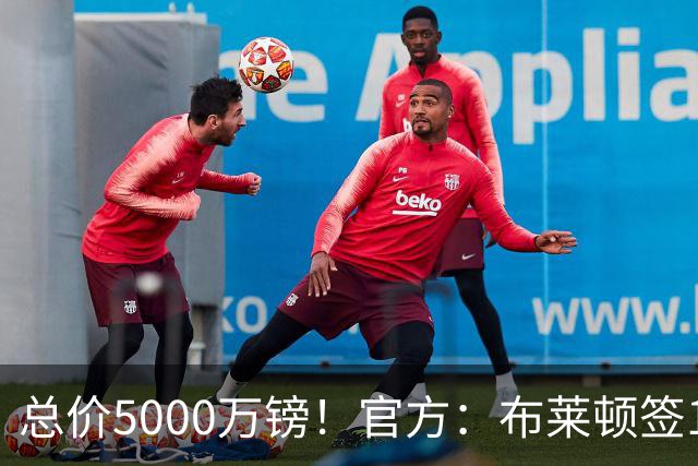 总价5000万镑！官方：布莱顿签19岁热刺后卫武什科维奇，签5+1年